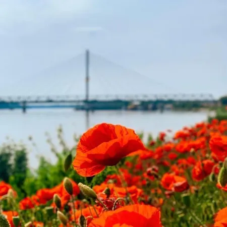 Apartman Amira