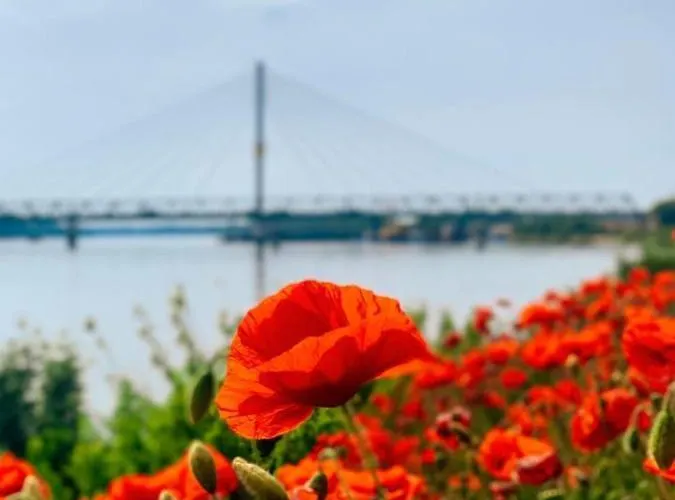 Apartman Amira